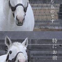 とある全緩の避難用