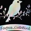 📌ซื้อ-ขาย นกฟอพัส Forpus🦜