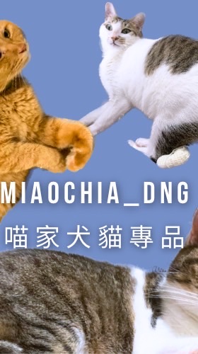 🐈 秒咪安心揪團群 🐈‍⬛喵家犬貓專品🐶✨