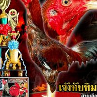 ซุ้มบังดัมม ฟาร์ม 🐓