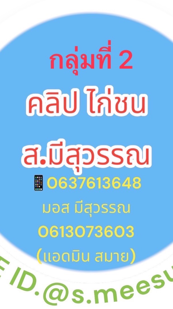 🏆กลุ่ม 2 คลิปไก่ ส.มีสุวรรณ (VIP ลูกแชมป์ตัวดัง)🏆