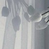 会食恐怖症で悩んでいる方へ