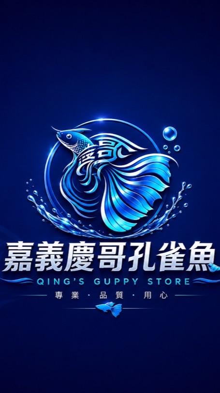 嘉義慶哥品系孔雀（知識分享）