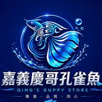 嘉義慶哥品系孔雀（知識分享）