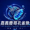 嘉義慶哥品系孔雀（知識分享）