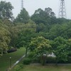 114年第三梯防災士
