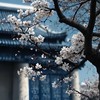 管理人とお話ししてくれる人募集