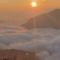 關懷照顧 服務員