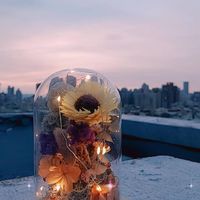 鎂藝天