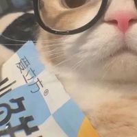 สังกัด นมตรากระต่าย🍼🐰