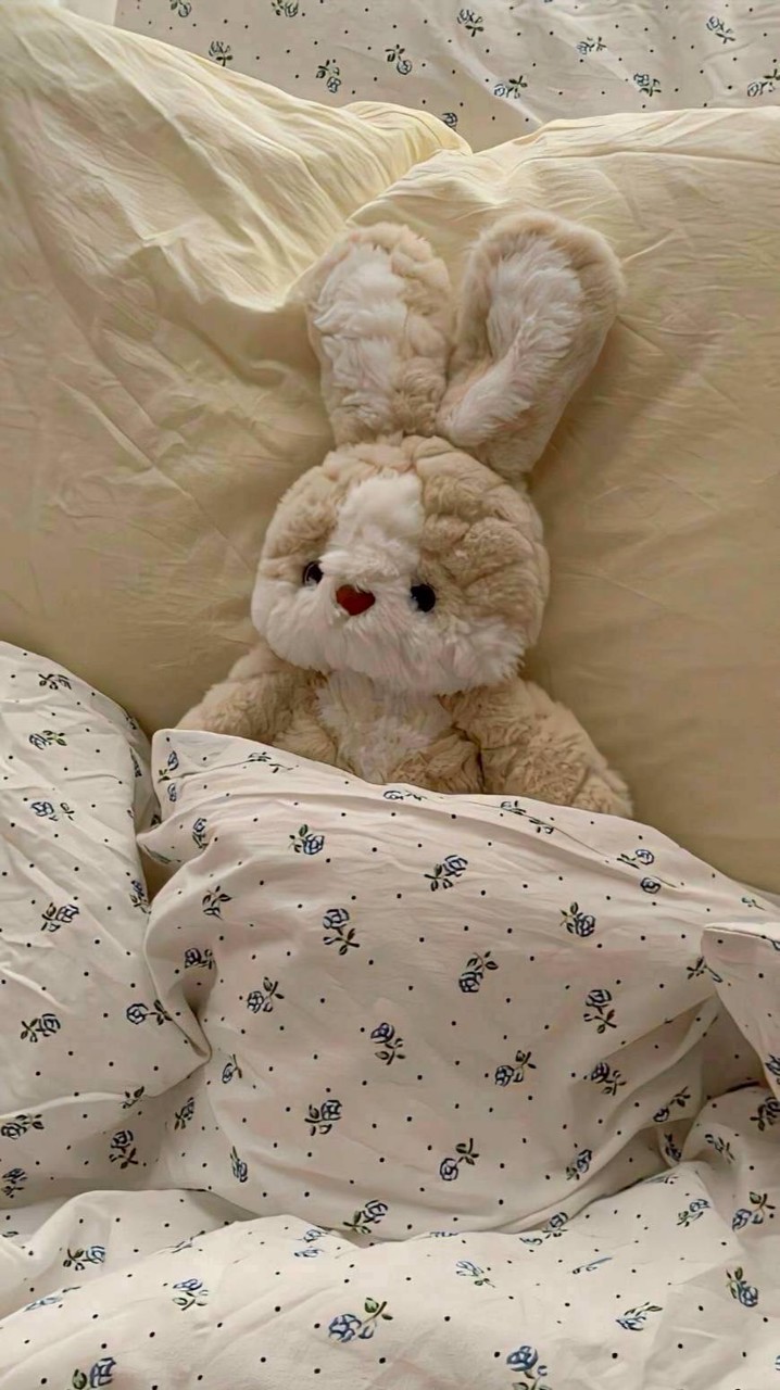 ༢.⁎ 沐 茹 初 見 ⁺ ༘ ༚