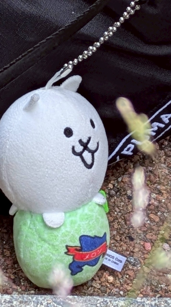 数学界隈 高校生