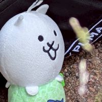 数学界隈 高校生