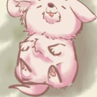 胖胖ㄉ狗狗