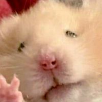 ไม่มีแอคแล้วพี่