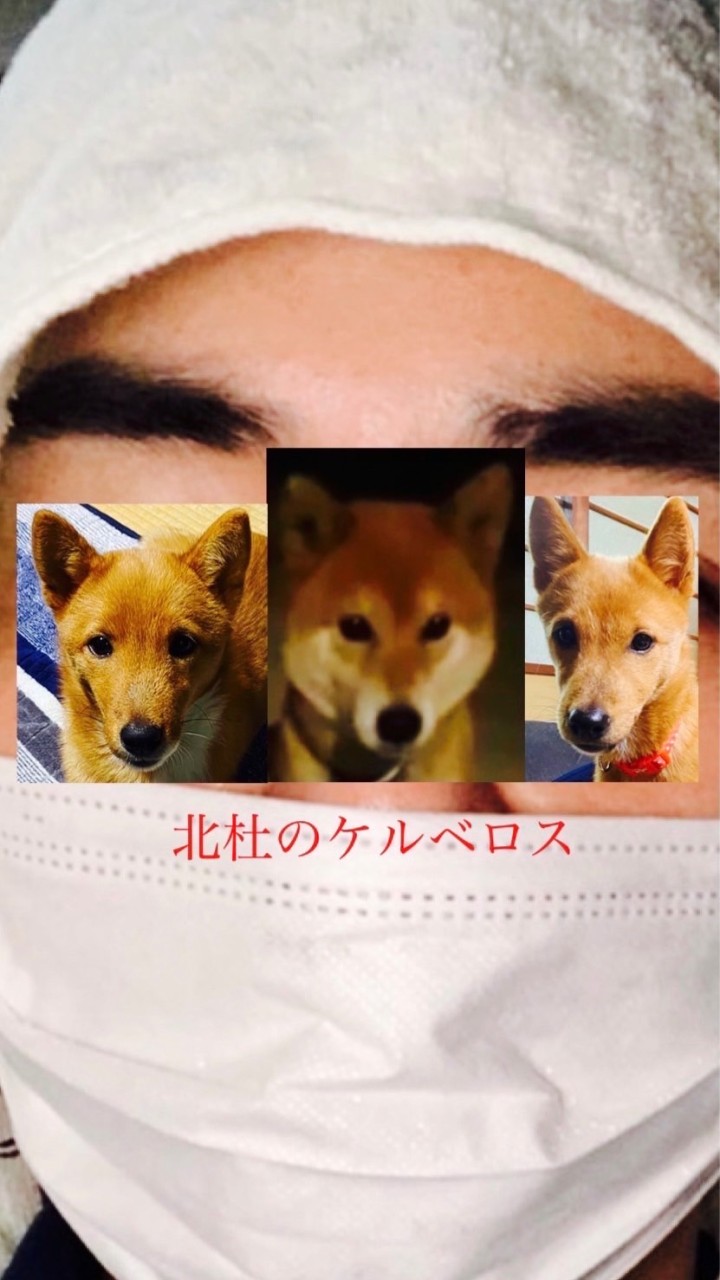 大谷まさゆめの汚部屋