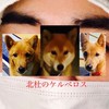 大谷まさゆめの汚部屋