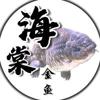 海棠金魚水族俱樂部