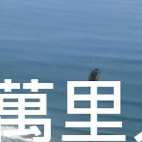 我是萬里人