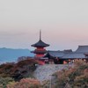 関東！神社仏閣がお好きな方が集まるお部屋♪