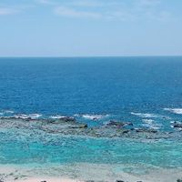 徳之島