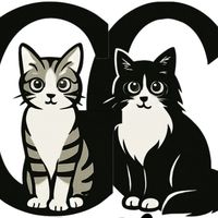 Gi Cha(11/30~12/4韓國連線)