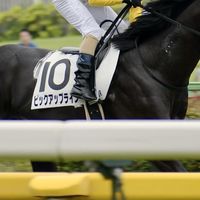 闘魂注入競馬会