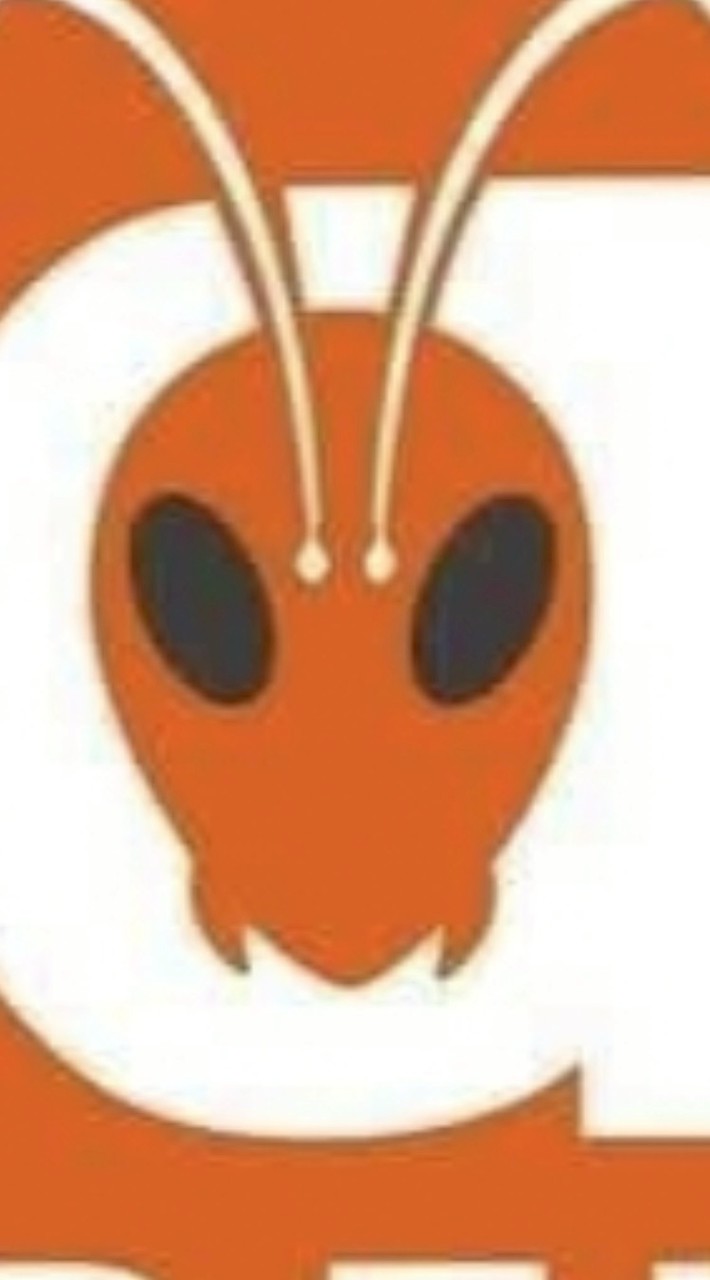 Ant Rider