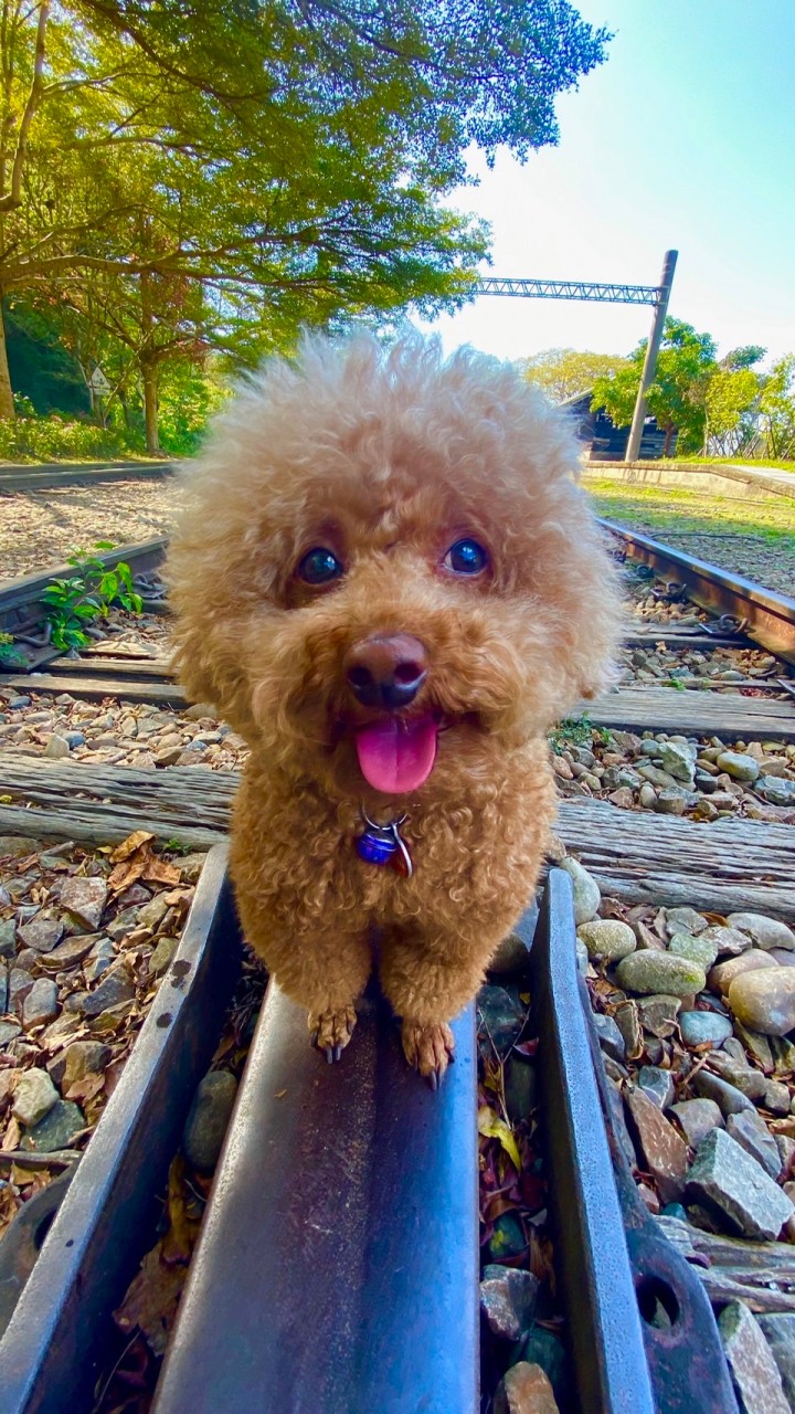 歡迎虎寶寶的媽咪一起交流💖