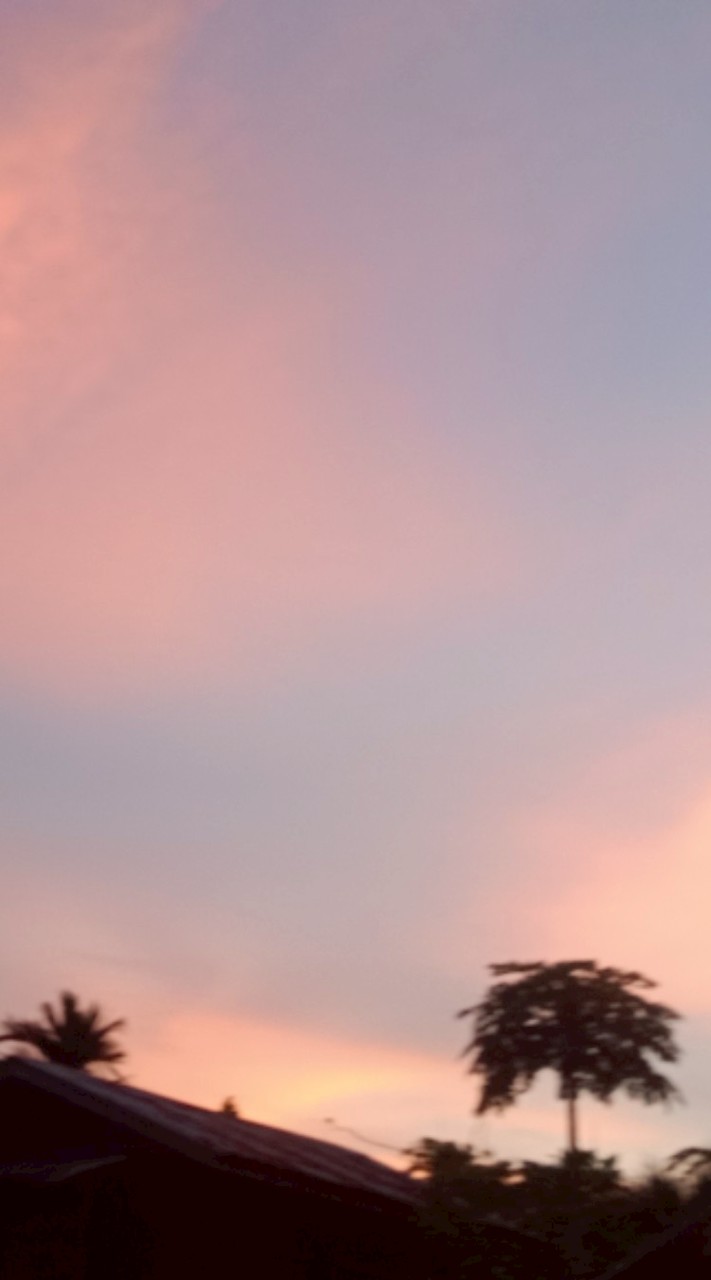 3คน