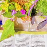 好消息好心情