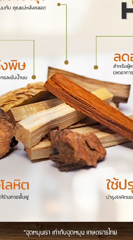 Herbal Land ดินแดนสมุนไพร  by heroloei