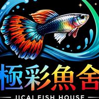極彩魚舍（孔雀魚）
