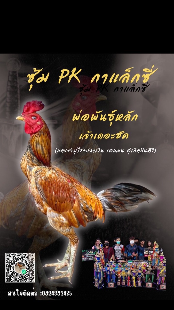 ซุ้ม pkกาเเล็กซี่🐓
