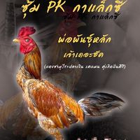 ซุ้ม pkกาเเล็กซี่🐓