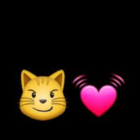 คนบ้า ทั้งหลาย♡