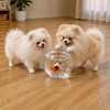 One More Goldfish 🐮🇨🇳🫧🐟