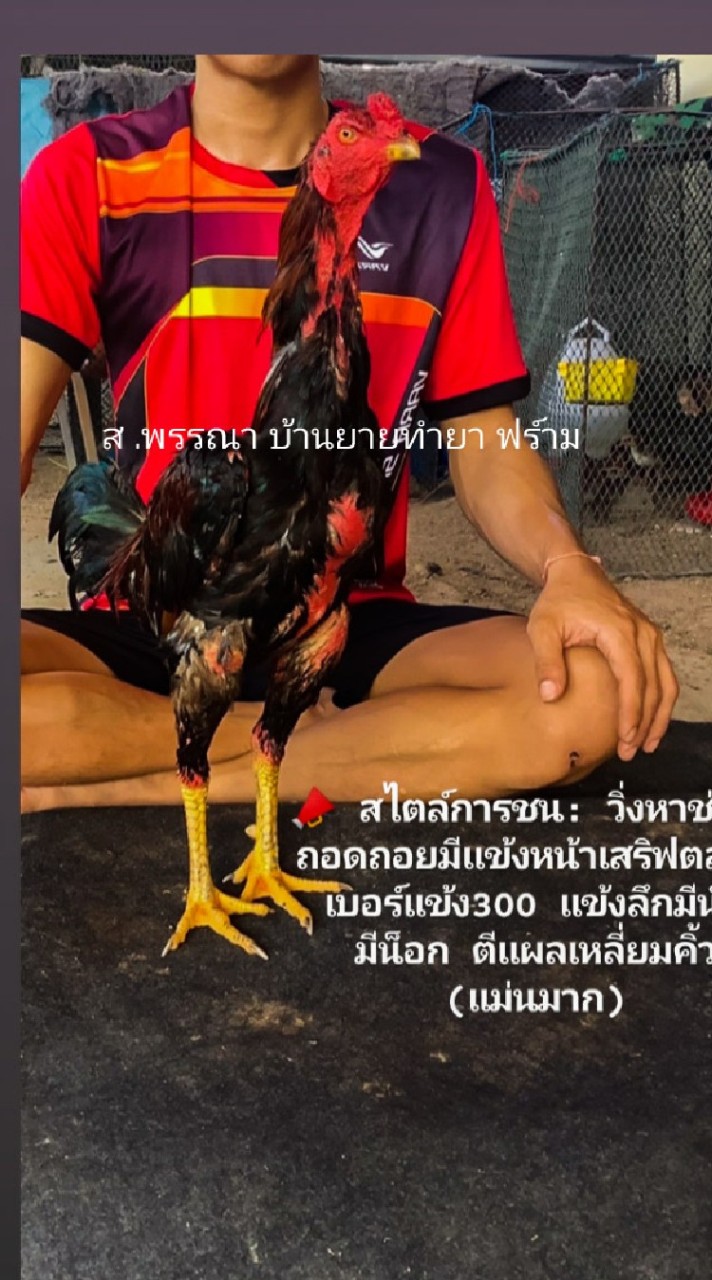 ส.พรรณา (บ้านยายทำยา)