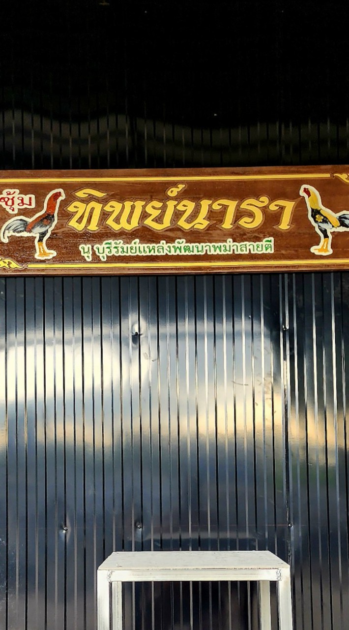 ซุ้ม ทิพย์นารา