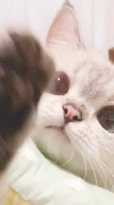 โรงเรียนคนชอบhee🌚