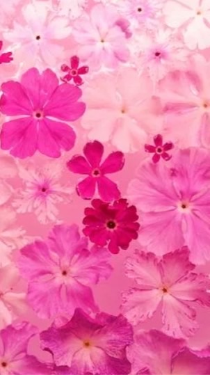 2026関西大学オリエンテーション