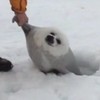 ✨️楽しいヨネ⁉️全員集合‼️🫳🏿✨️：全緩也💖