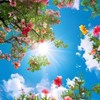 3月15日　記念日の部屋