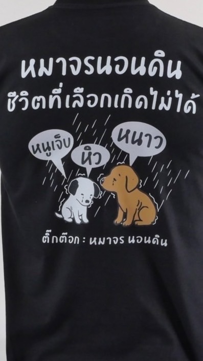 หมาจร นอนดิน