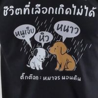 หมาจร นอนดิน