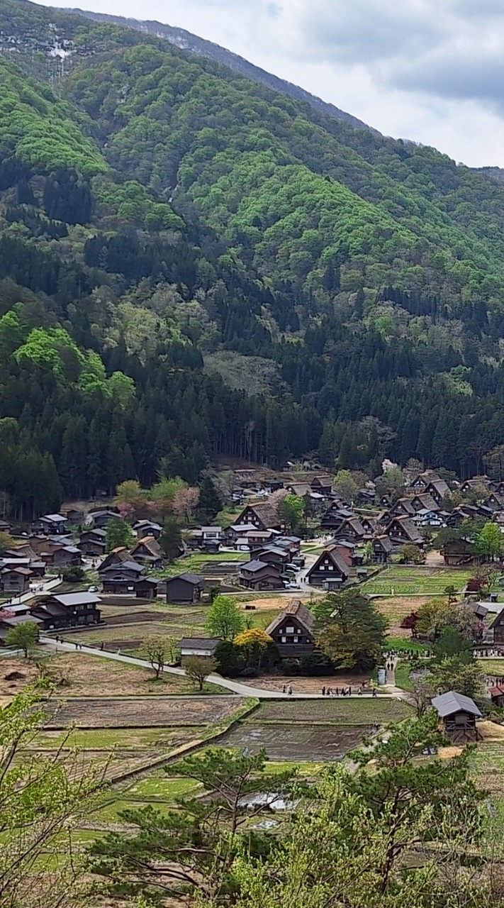 進修