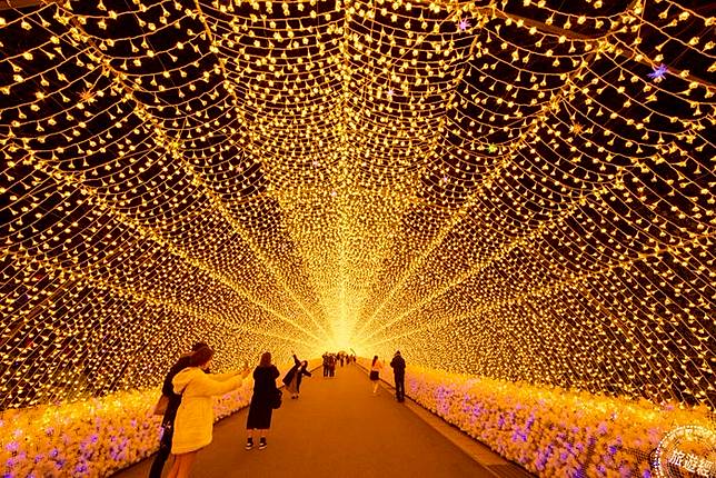 日本最大燈海三重縣名花之里冬季燈彩亮了 旅遊經 Line Today