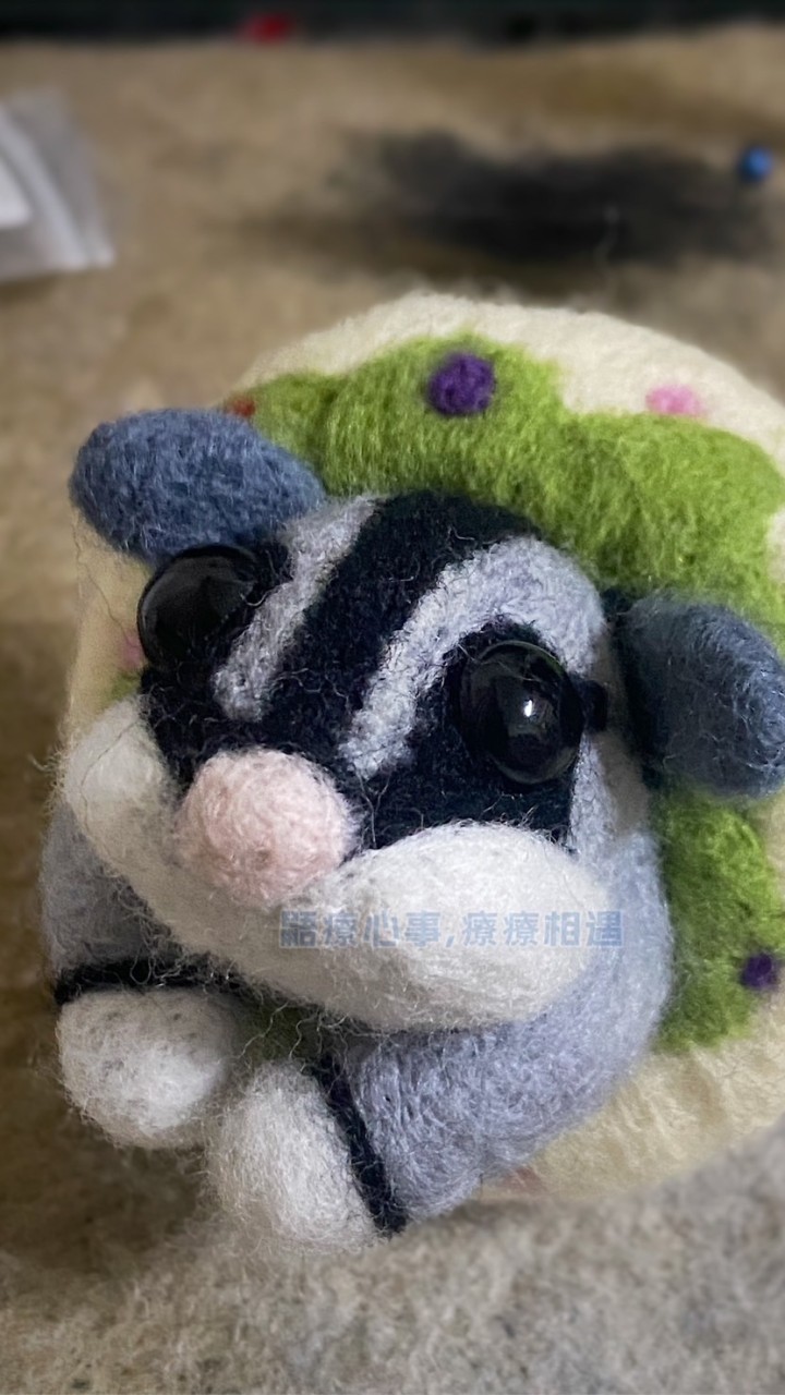 蜜袋鼯 鮮食 搭伙 寵物溝通