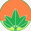 新竹縣市大小事