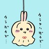 うさぎ好き集合！